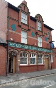 Picture of Bird i'th Hand