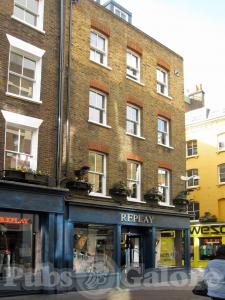 Picture of Bulls Head