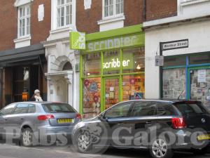 Picture of Golden Lion