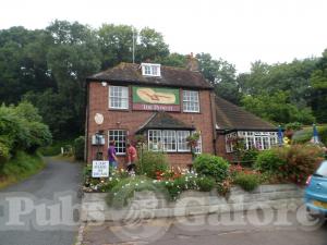 Picture of The Plough