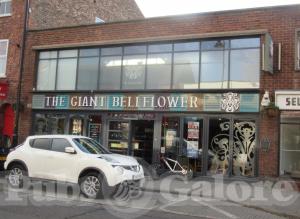 Picture of The Giant Bellflower (JD Wetherspoon)