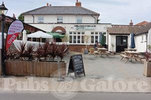 Picture of White Horse