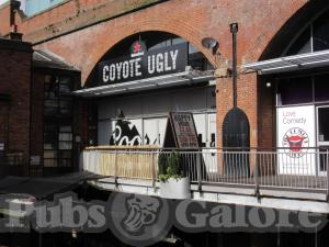 Picture of Coyote Ugly
