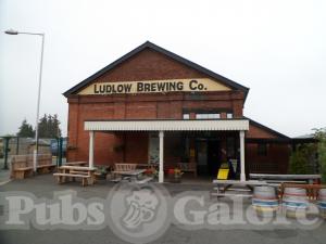 Picture of Brewery Tap
