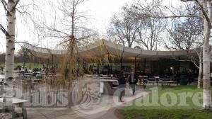 Picture of The Serpentine