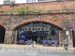 Picture of The Dog Bowl