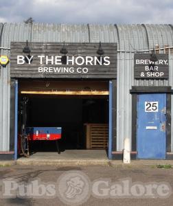 Picture of By the Horns