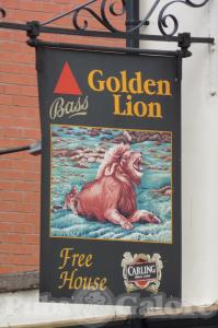 Picture of Golden Lion