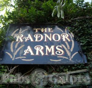 Picture of The Radnor Arms