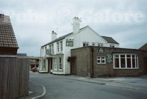 Picture of Turks Head