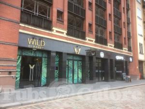 Picture of Wild & Wicked