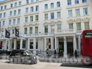Picture of Polo Bar @ Hotel London Kensington