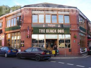 Picture of The Black Dog Saloon