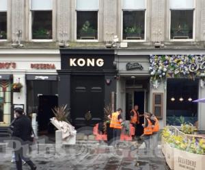 Picture of Kong