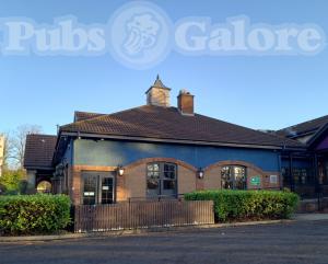Picture of Black Bear (JD Wetherspoon)