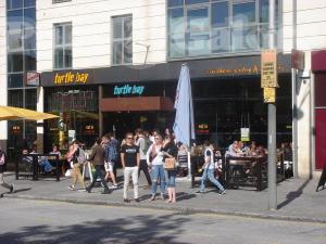 Picture of Turtle Bay