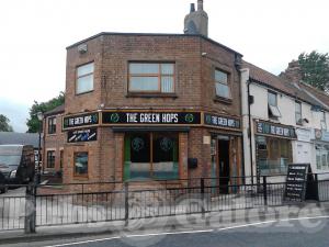 Picture of Green Hops