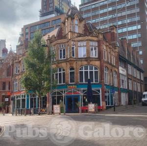 Picture of Turtle Bay