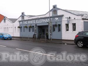 Picture of The White Elephant