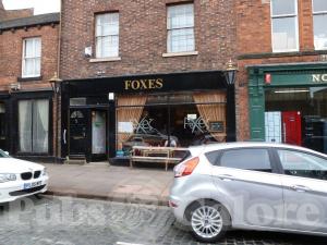 Picture of Foxes