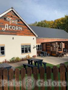 Picture of The Acorn