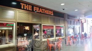 Picture of The Feathers