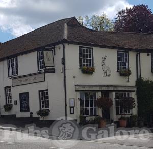 Picture of The March Hare