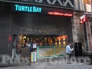 Picture of Turtle Bay