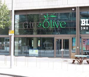 Picture of Gin & Olive