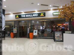 Picture of The Mallard