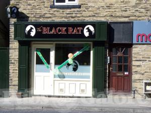 Picture of The Black Rat