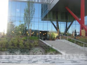 Picture of The Common