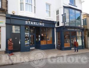 Picture of The Starling