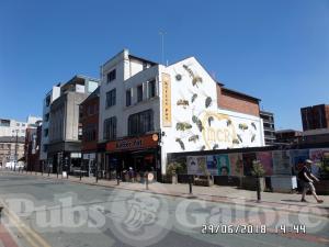 Picture of Koffee Pot