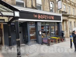 Picture of The Boozy Cow