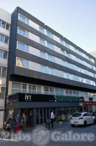Picture of The Ivy