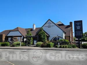 Picture of The Canterbury Bell