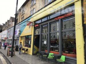 Picture of Turtle Bay