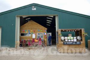 Picture of The Beer Barn