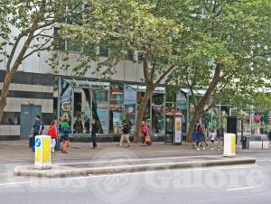 Picture of GA KingsX