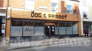 Picture of Dog & Parrot