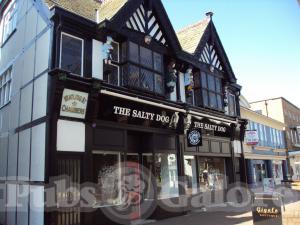 Picture of The Salty Dog