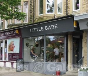 Picture of The Little Bare