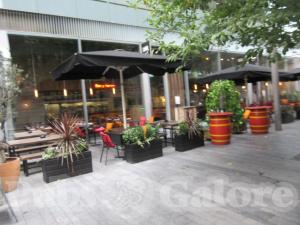 Picture of Camino