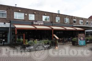 Picture of Banyan