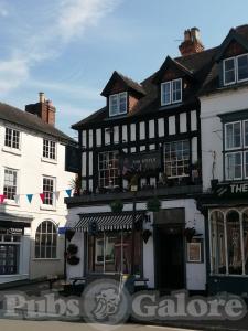 Picture of The Royle