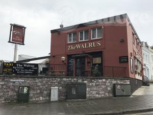 Picture of The Walrus
