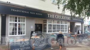 Picture of The Cricketers