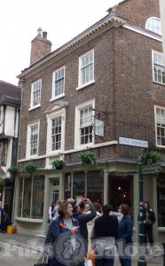 Picture of The Botanist