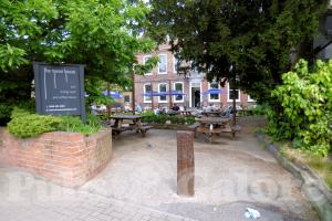 Picture of The Bull